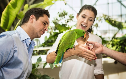 Green Planet Dubai Tickets